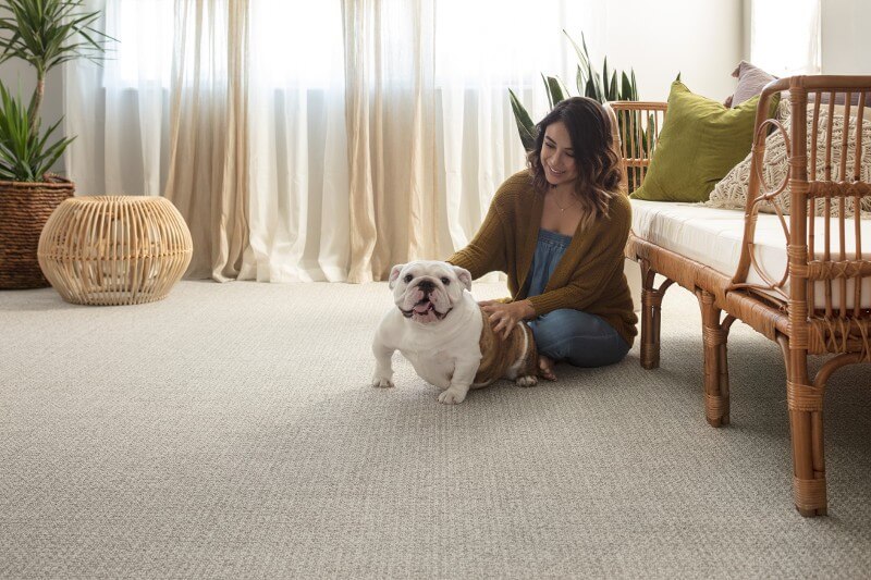 Pet friendly floor | Carpet Your World
