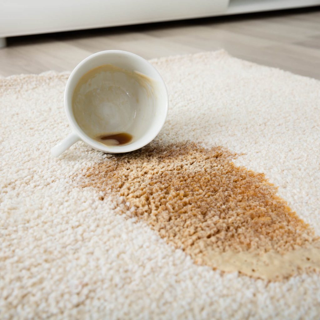 Professional Rug Cleaning | Carpet Your World