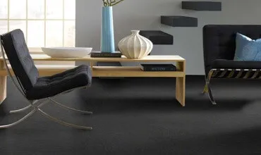 Vinyl | Carpet Your World