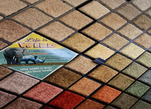 Carpet | Carpet Your World